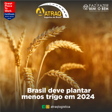 ATRAQ Logstica Os produtores brasileiros planejam reduzir a área de cultivo de trigo em 2024, desencorajados pelos preços baixos e adversidades climáticas. A cobertura das vendas de trigo no mercado futuro de Chicago teria...