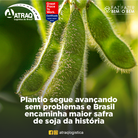 ATRAQ Logstica A produção brasileira de soja em 2022/23 deverá totalizar 154,53 milhões de toneladas, com elevação de 21,3% sobre a safra da temporada anterior, que ficou em 127,44 milhões de...