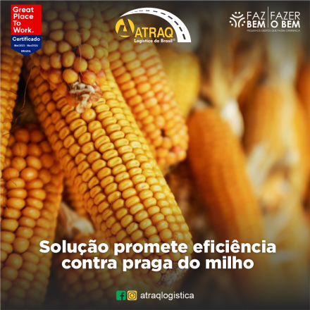 ATRAQ Logstica Um novo inseticida foi lançado no Brasil com o objetivo de revolucionar o controle da cigarrinha-do-milho, uma praga persistente que causa grandes perdas na produção de milho. O produto, desenvolvido pela...
