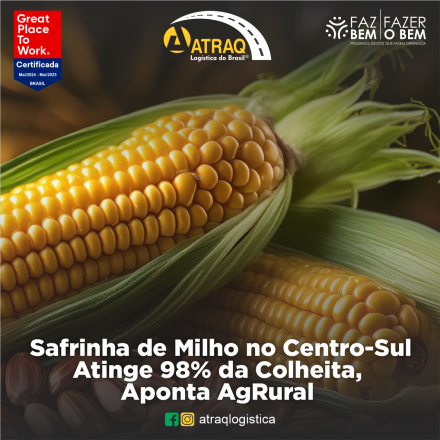 ATRAQ Logstica A colheita da safrinha de milho de 2024 já atingiu 98% da área cultivada no Centro-Sul do Brasil até a última quinta-feira (08), conforme informações da consultoria AgRural. Esse...