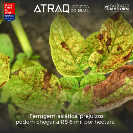 ATRAQ Logstica No Brasil, a safra 2024/25 de soja já está com quase toda a área plantada nos principais estados produtores. Após um início marcado por uma seca prolongada, as chuvas entre o final de outubro e...