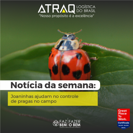 ATRAQ Log�stica Insetos pequenos e muitas vezes ignorados nas lavouras, as joaninhas desempenham papel importante no controle biol&oacute;gico de pragas e no equil&iacute;brio dos ecossistemas agr&iacute;colas. Predadoras naturais, elas se...